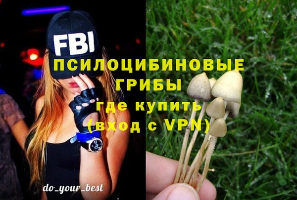 мескалин Карпинск