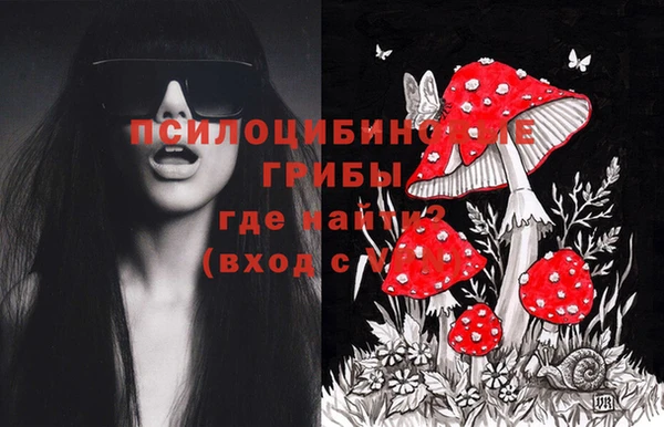 мескалин Карпинск
