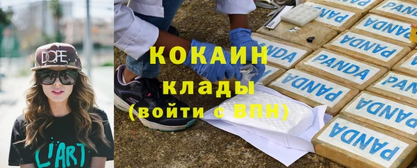 твердый Касимов