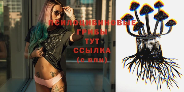 твердый Касимов