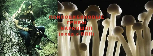 твердый Касимов