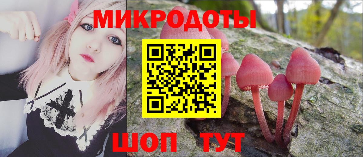Галлюциногенные грибы Cubensis Тулун