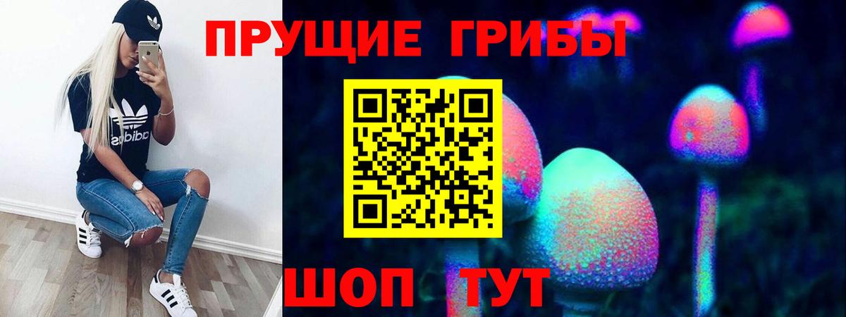 Псилоцибиновые грибы мицелий  Вход с VPN  Тулун  Псилоцибиновые грибы GOLDEN TEACHER 